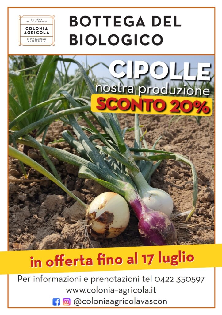 Cipolle, fagioli e patate viola nostra produzione sconto 20% - Colonia  Agricola