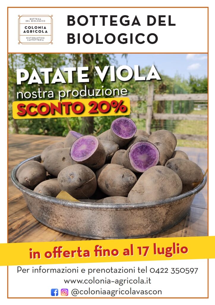 Cipolle, fagioli e patate viola nostra produzione sconto 20% - Colonia  Agricola