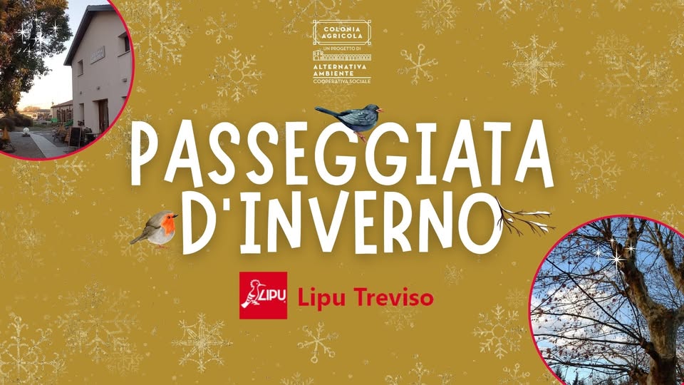 Passeggiata d'inverno con Lipu Treviso